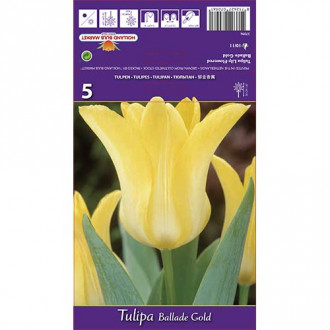 Tulpė lelijinė Ballade Gold interface.image 2