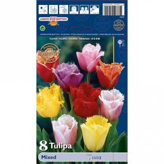 Tulpės dantytos Fringed, spalvų mišinys interface.image 4