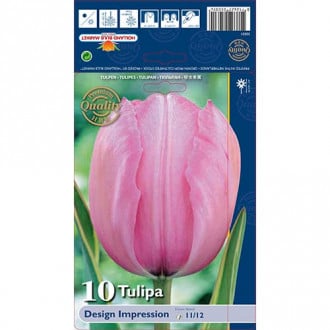 Tulpė Darvino Design Impression interface.image 4