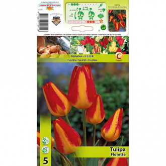 Tulpė daugiažiedė Florette interface.image 1