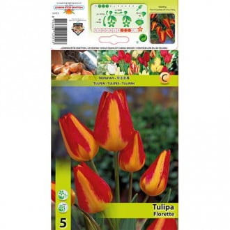 Tulpė daugiažiedė Florette interface.image 3
