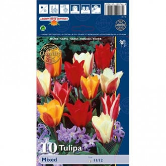 Tulpės Greigo, spalvų mišinys interface.image 5