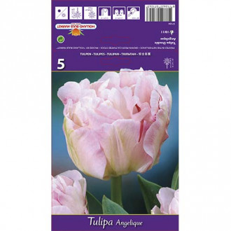 Tulpė pilnavidurė Angelique interface.image 3
