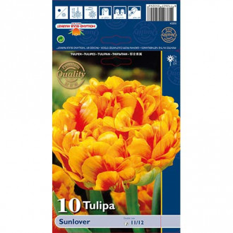 Tulpė pilnavidurė Sunlover interface.image 4