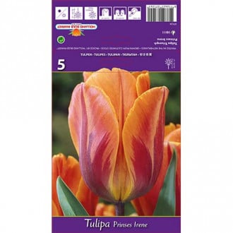 Tulpė Triumph Prinses Irene interface.image 3