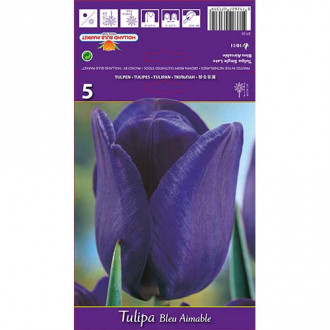 Tulpė Triumph Blue Aimable interface.image 6