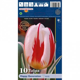 Tulpė Triumph Happy Generation interface.image 1