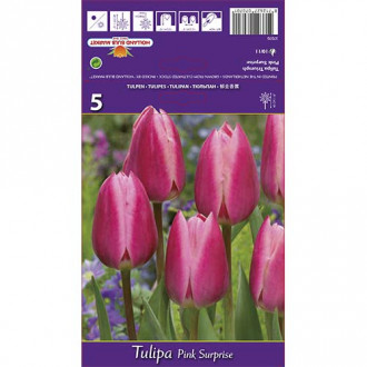 Tulpė Triumph Pink Surprise interface.image 1