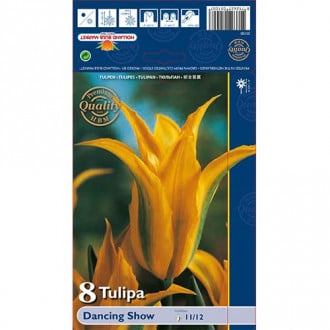 Tulpė žaliažiedė (Viridiflora) Dancing Show interface.image 5