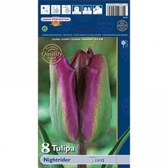 Tulpė Viridiflora Night Rider interface.image 1