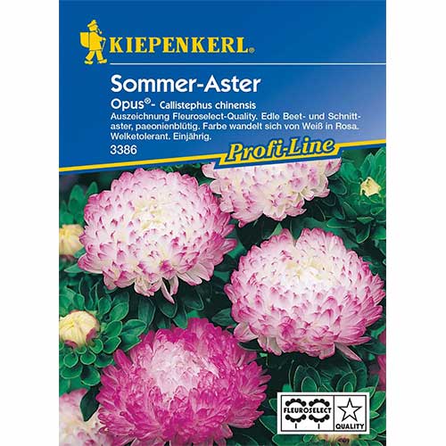 Sommer-Aster Opus Kiepenkerl interface.art nuotrauka 1 Sommer-Aster Opus Kiepenkerl interface.image 1 interface.art 96572