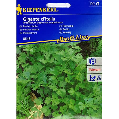 Lapinės petražolės Gigante d'Italia interface.image 1 interface.art 86503