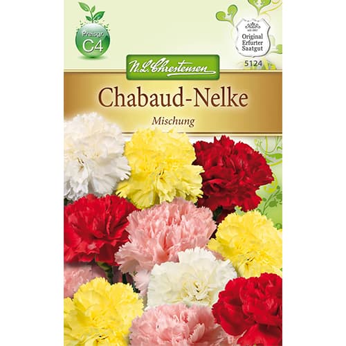 Gvazdikai sodo, mišinys interface.image 1 interface.art 78909