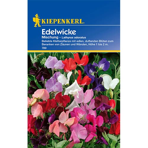 Kvapieji pelėžirniai, mišinys interface.art nuotrauka 1 Kvapieji pelėžirniai, mišinys interface.image 1 interface.art 77415