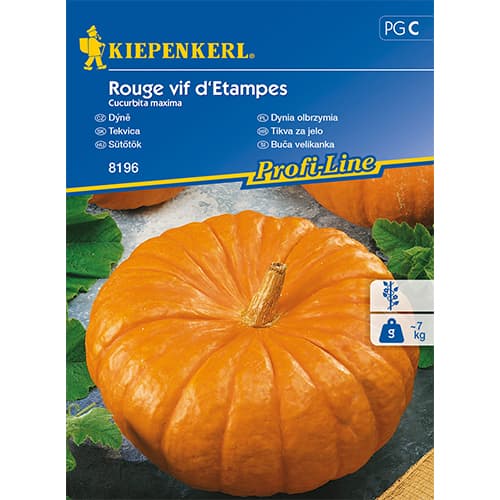 Moliūgai Rouge vif d'Etampes interface.image 1 interface.art 86472