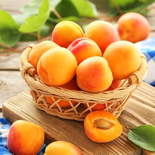 Abrikosas Diamond, С2 interface.image 1 interface.art 4277