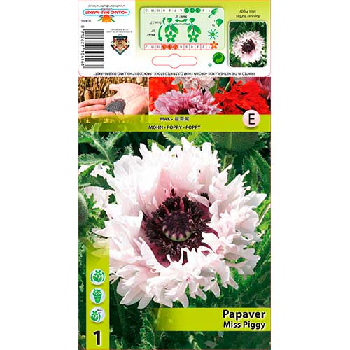 Aguona (Papaver) Ruffles Miss Piggy interface.art nuotrauka 1 Aguona (Papaver) Ruffles Miss Piggy interface.image 1 interface.art 76343