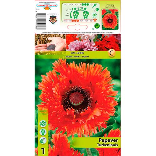 Aguona (Papaver) Ruffles Turkenlouis interface.art nuotrauka 1 Aguona (Papaver) Ruffles Turkenlouis interface.image 1 interface.art 76609