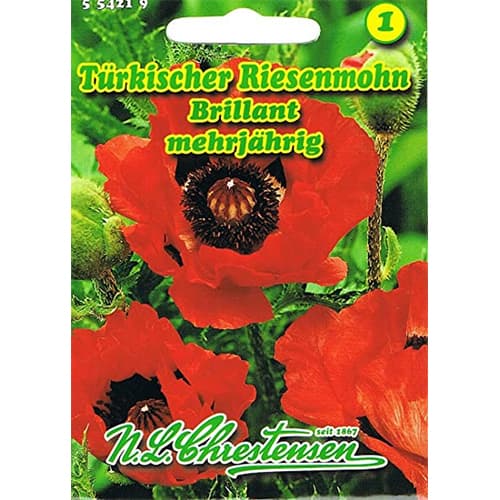 Aguonos didžiosios Brillant interface.image 1 interface.art 78831