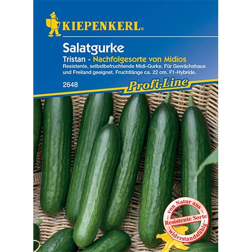 Agurkai ilgavaisiai Midele Kiepenkerl interface.art nuotrauka 1 Agurkai ilgavaisiai Midele Kiepenkerl interface.image 1 interface.art 50023