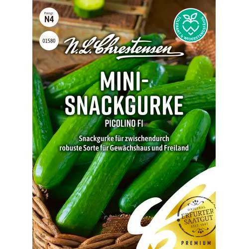 Agurkai ilgavaisiai Picolino F1 Chrestensen interface.image 1 interface.art 50051