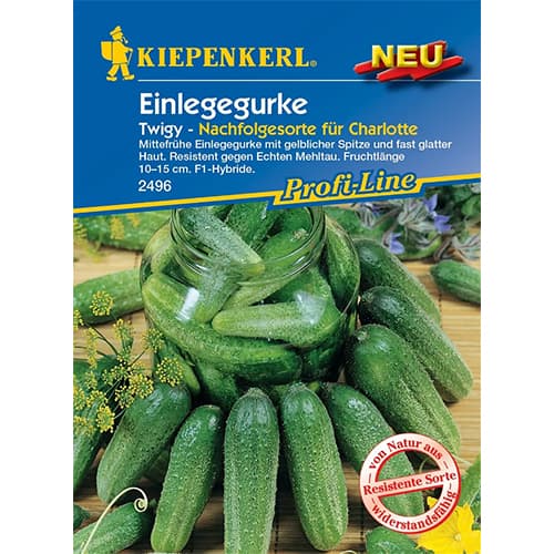 Agurkai Twigy, F1 interface.image 1 interface.art 87779