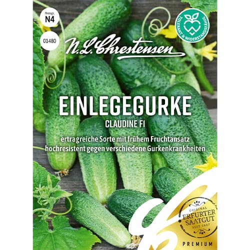 Agurkai Claudine F1 interface.image 1 interface.art 86034