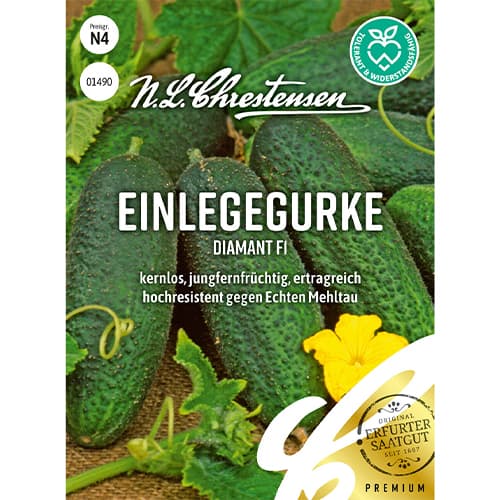 Agurkai Diamant F1 Chrestensen interface.art nuotrauka 1 Agurkai Diamant F1 Chrestensen interface.image 1 interface.art 86035