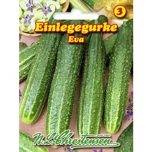 Agurkai Eva interface.image 1 interface.art 96470