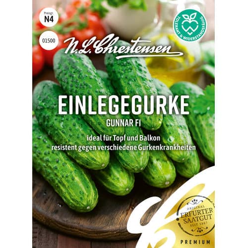 Agurkai Gunnar F1 interface.image 1 interface.art 86036