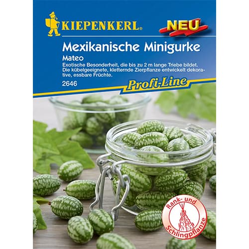 Agurkai Mateo interface.image 1 interface.art 96634