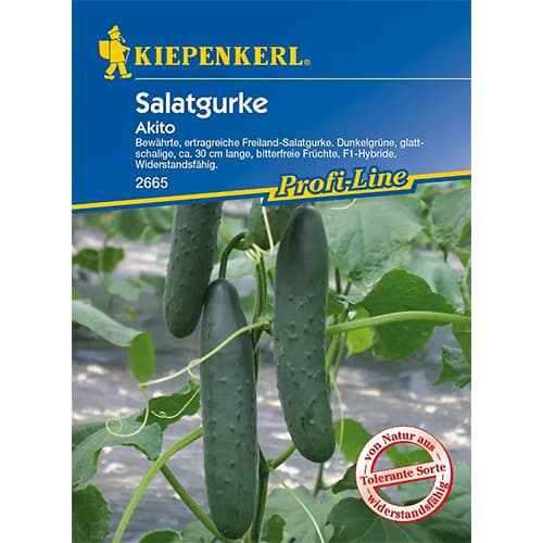 Agurkai ilgavaisiai Akito, F1 interface.image 1 interface.art 96667