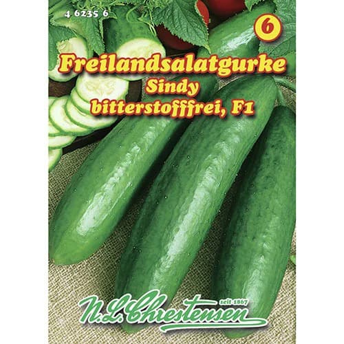 Agurkai Sindy F1 interface.image 1 interface.art 96474