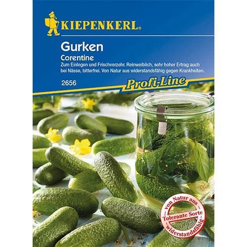 Agurkai Corentine F1 interface.image 1 interface.art 86443