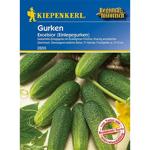 Agurkai Excelsior F1 interface.image 1 interface.art 86445