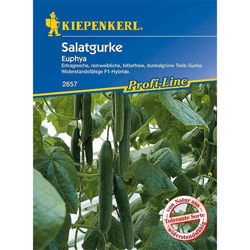 Agurkai ilgavaisiai Euphya F1 interface.image 1 interface.art 86521