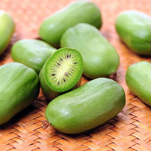 Aktinidijos Issai, P9 interface.image 1 interface.art 9238