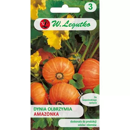 Amazon moliūgas - oranžinis interface.image 1 interface.art 69459