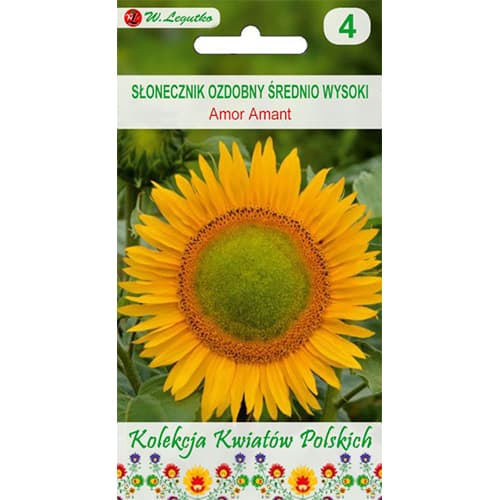 Amor Amant dekoratyvinė saulėgrąža interface.image 1 interface.art 86736