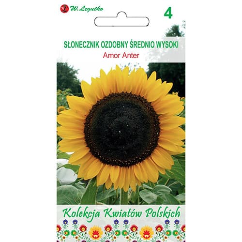 Amor Anter dekoratyvinės saulėgrąžos interface.image 1 interface.art 86733