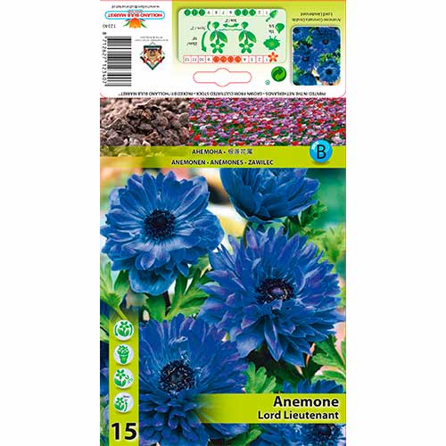 Plukė (Anemone) Lord Lieutenant interface.image 1 interface.art 76165