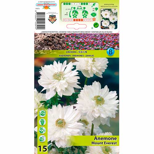 Plukė (Anemone) Mount Everest interface.image 1 interface.art 76166