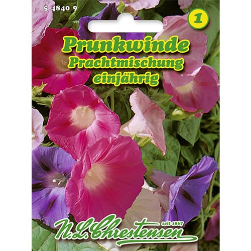 Sukučiai purpuriniai, mišinys interface.image 1 interface.art 86178