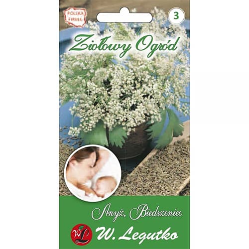 Anyžius, berniukas interface.image 1 interface.art 69664