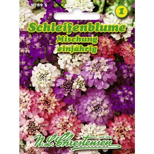 Rudgrūdėlės Skėtinės, mišinys interface.image 1 interface.art 96428