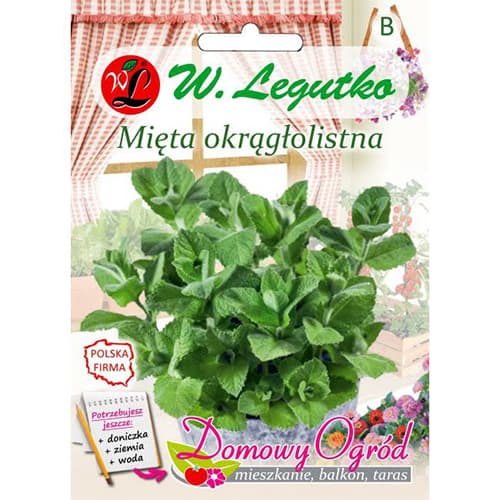 Apvalialapė mėta interface.image 1 interface.art 69646