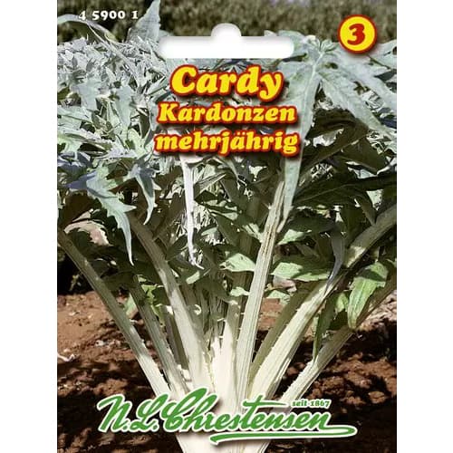 Artišokai ispaniški interface.image 1 interface.art 96468