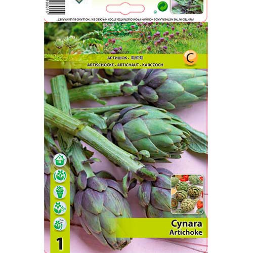 Artišokas interface.image 1 interface.art 70502
