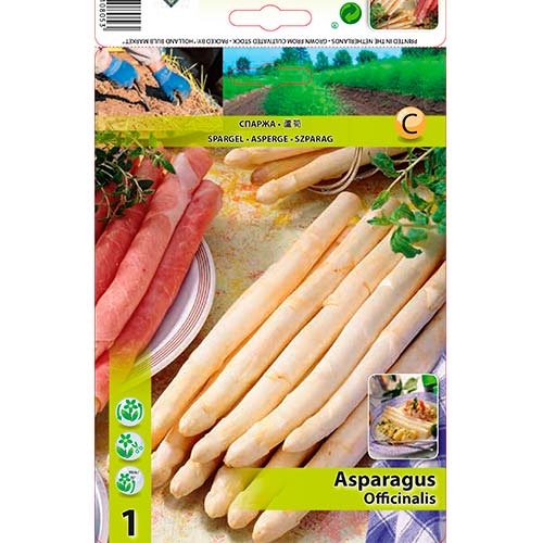 Daržovių Asparagus interface.image 1 interface.art 70501