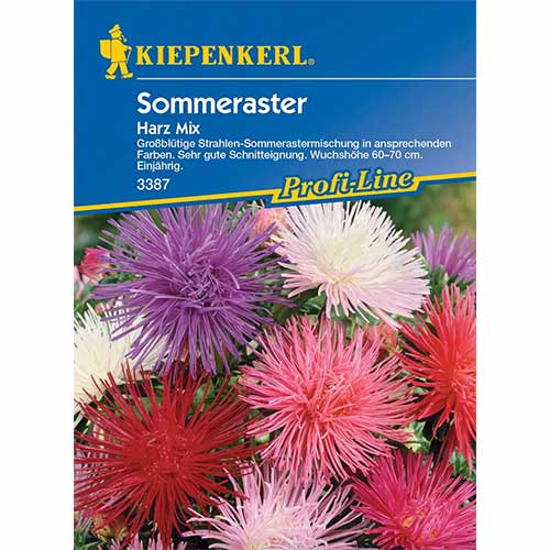 Aster Harz, mix Kiepenkerl interface.art nuotrauka 1 Aster Harz, mix Kiepenkerl interface.image 1 interface.art 96571